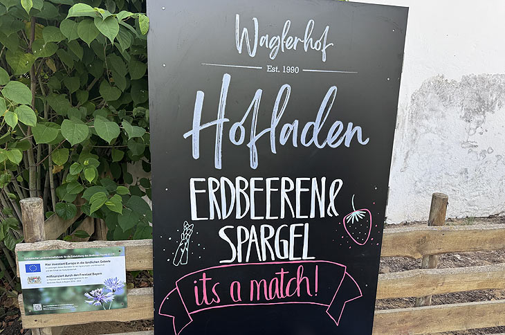  Auch Erdbeeren gibt es ab Mai, ein prefektes Match mit Spargel beim Waglerhof der Familie Gamperl (©Foto. Martin Schmitz)